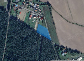 Image category