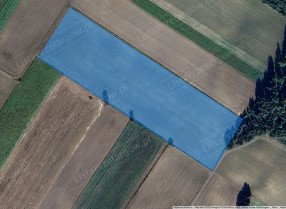 Zdjęcie nieruchomości