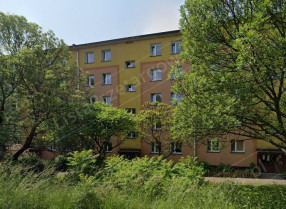 Image category