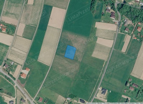 Nieruchomość