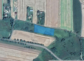 Nieruchomość