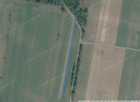 Image category
