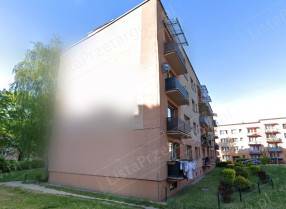 Image category