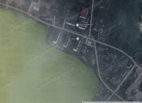 Image category