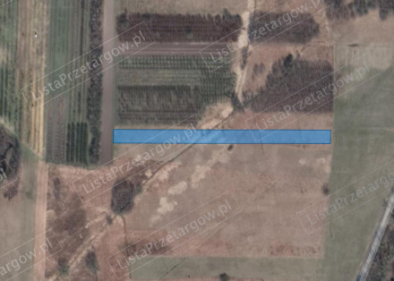 Image category