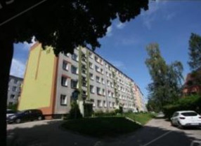 Image category
