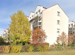 Image category