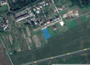 Image category