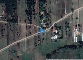 Image category