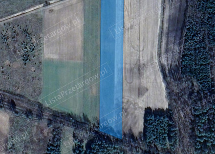 Image category