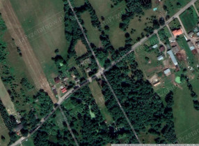 Image category