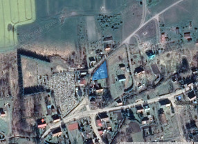 Image category