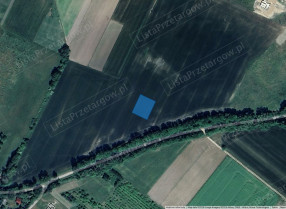Image category