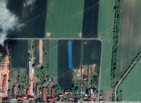 Image category