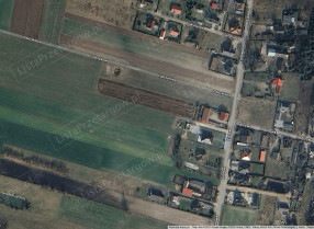 Image category