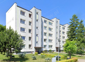 Image category