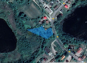 Image category