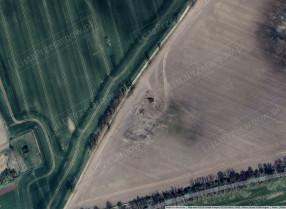 Image category