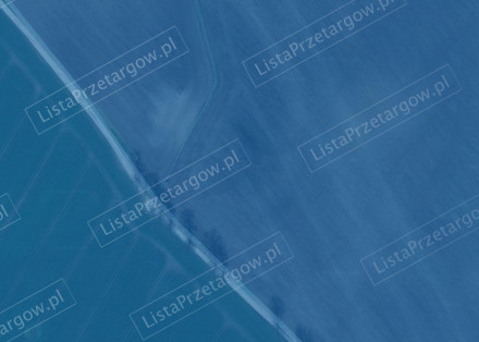 Image category