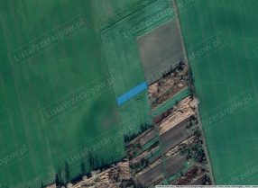 Image category