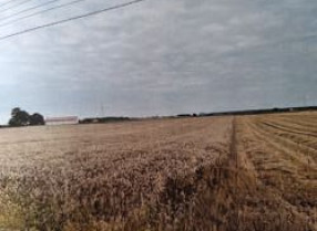 Nieruchomość