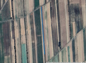 Image category