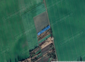Image category
