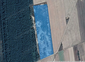 Image category