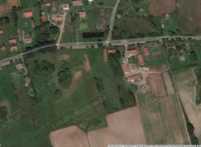 Image category