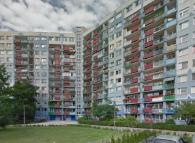 Image category