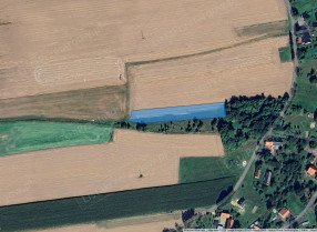 Image category
