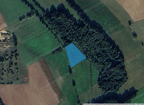 Nieruchomość