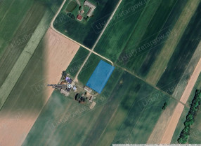 Image category