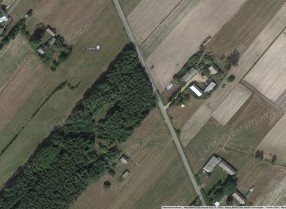 Image category