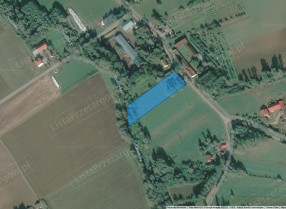 Image category