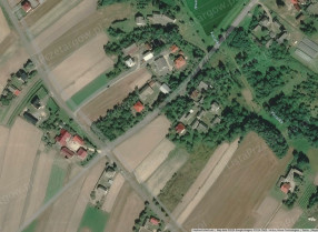 Image category
