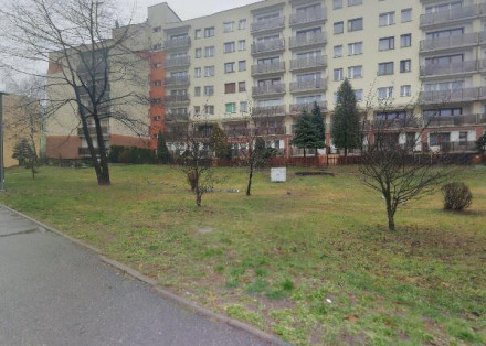 Nieruchomość