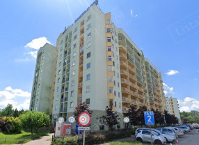 Image category