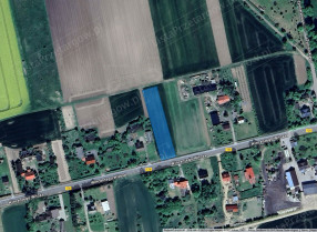 Image category