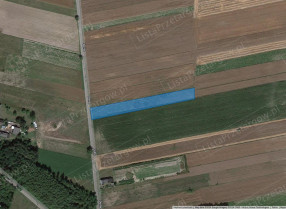 Image category