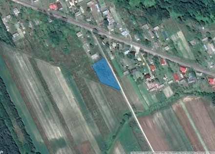 Image category