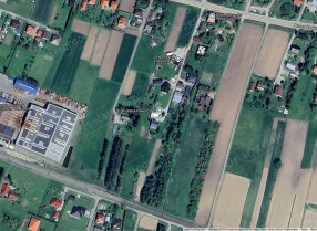 Image category