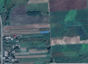 Image category