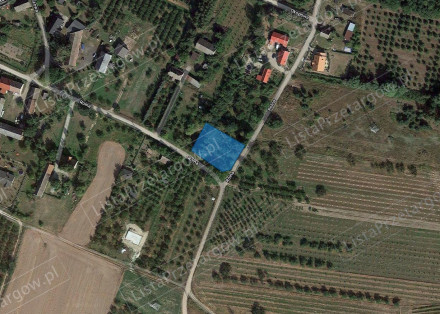 Nieruchomość