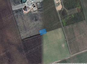 Image category