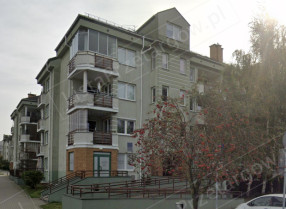 Image category