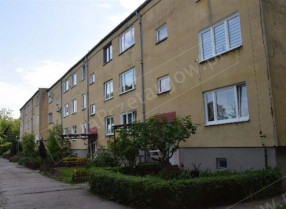 Image category