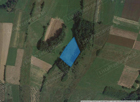 Image category