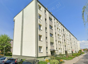 Image category