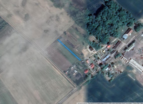 Image category